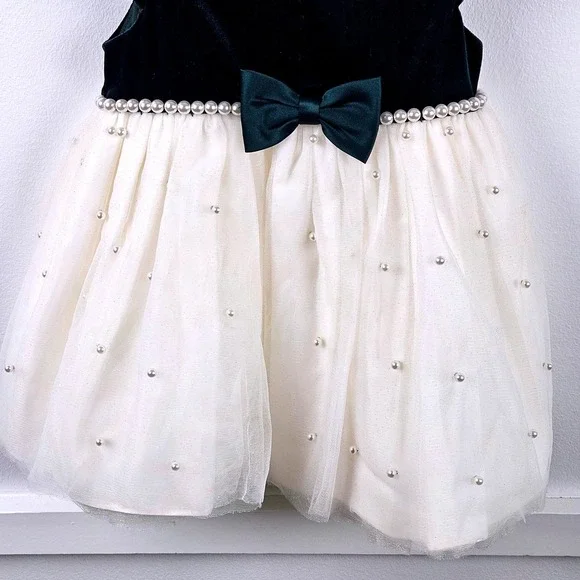 American Princess Toddler Girls Velvet Tulle Pearl Party Dress Green Cream 24M - Picture 4 of 7